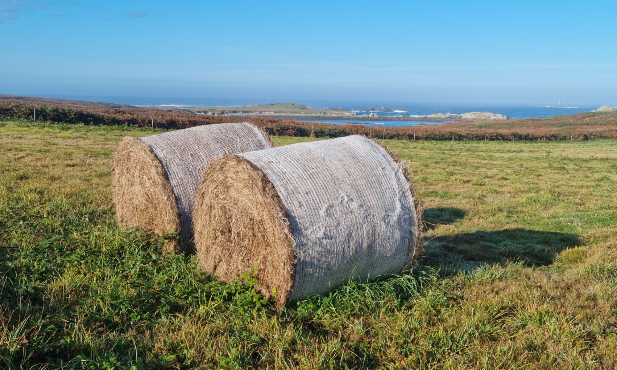 Réseau Agricole des Iles Atlantiques